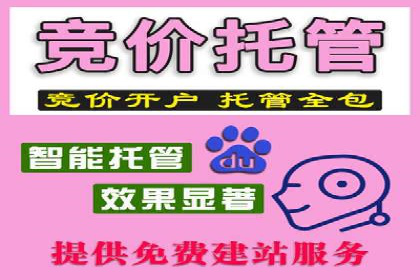 竞价托管SEM案例分析：提升广告效果